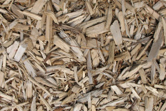 biomass boilers Muscoates